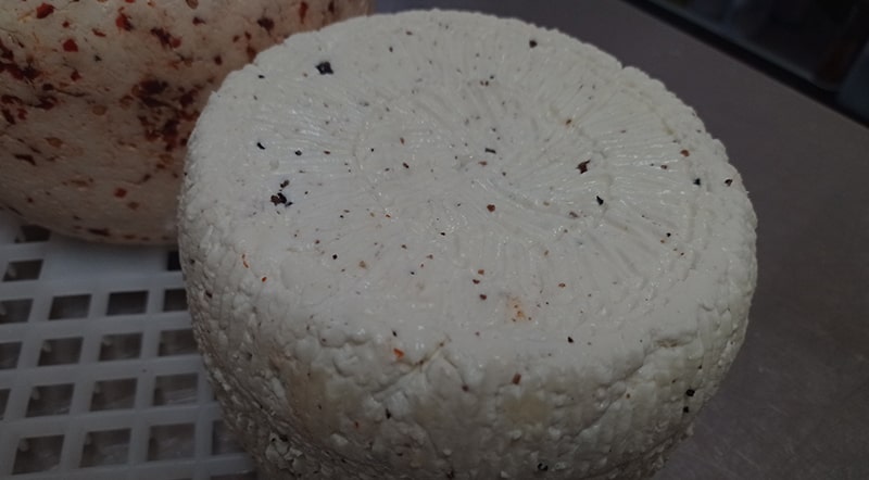 Caciotta Mucca al tartufo Antipasto misto Trattoria la Pineta da Dario Torri in Sabina Rieti