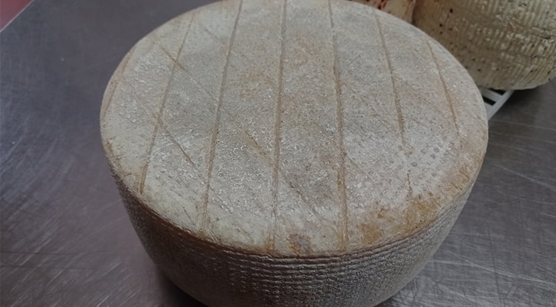 Caciotta mista Mucca- Pecora Antipasto misto Trattoria la Pineta da Dario Torri in Sabina Rieti