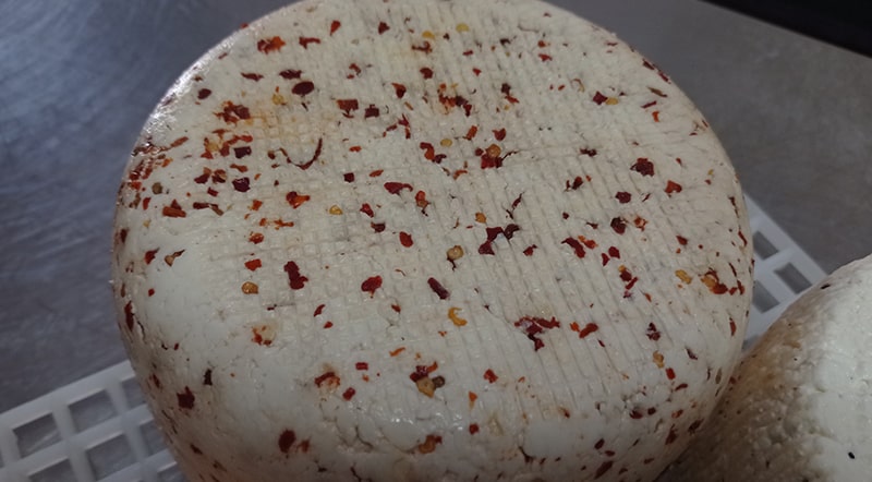 Caciotta mucca al peperoncino Antipasto misto Trattoria la Pineta da Dario Torri in Sabina Rieti